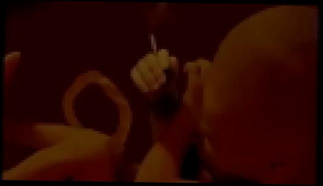 Видеоклип Сигареты Табак взгляд на Беременность Взгляд из нутри малыша Schwangerschaft