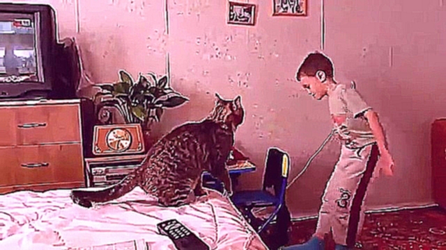 Видеоклип Мальчик подразнил кота