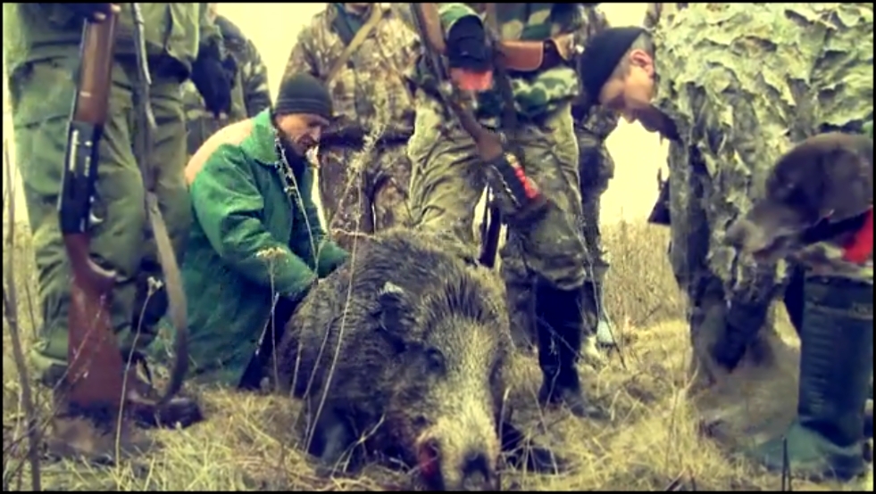 Видеоклип Закрытие сезона охоты на кабана и косулю - 2014. Украина 