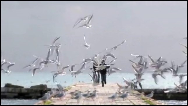 Видеоклип Letai Moj Galebe = Fly away My Gull