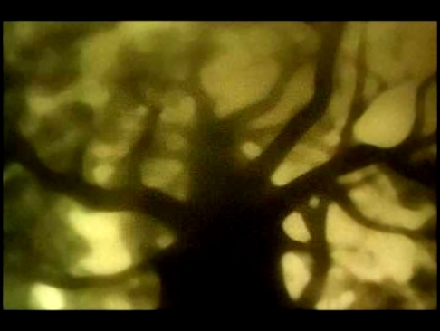 Видеоклип Ежик в тумане - Droned hedgehog