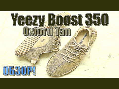 Обзор кроссовок Yeezy Boost 350 - Oxford Tan. Наилучшее качество!