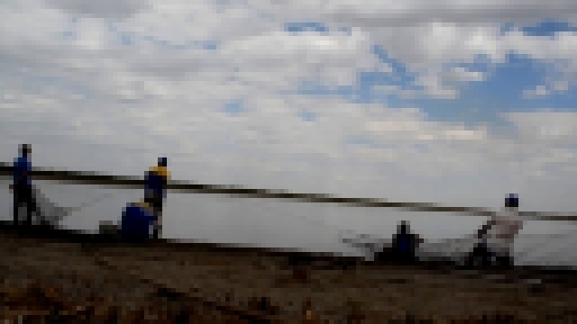 Видеоклип Вытянули невод на 6 тонн карпа. Облов пруда, часть 2. Карагандинский рыбопитомник