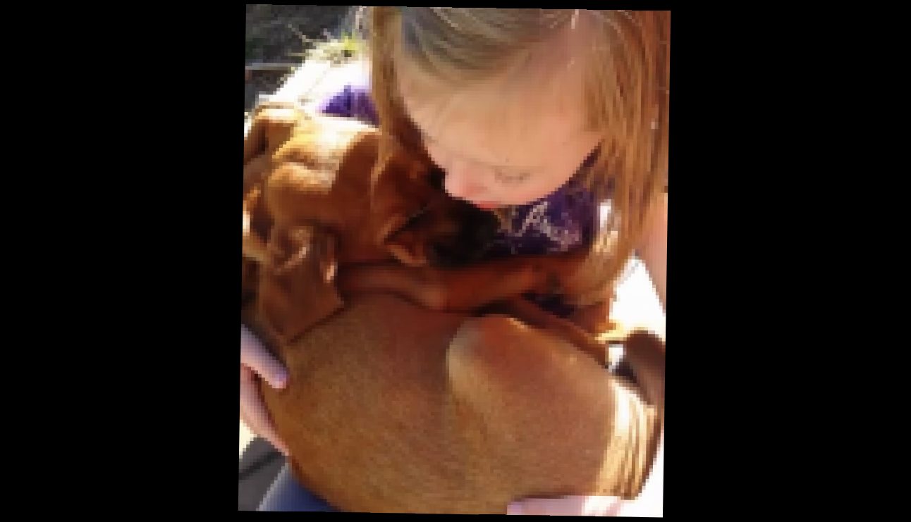 Видеоклип Девочка спела колыбельную собаке из приюта