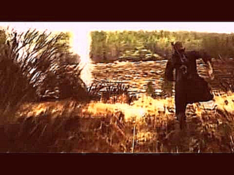 Видеоклип клип  сталкер тень чернобыля