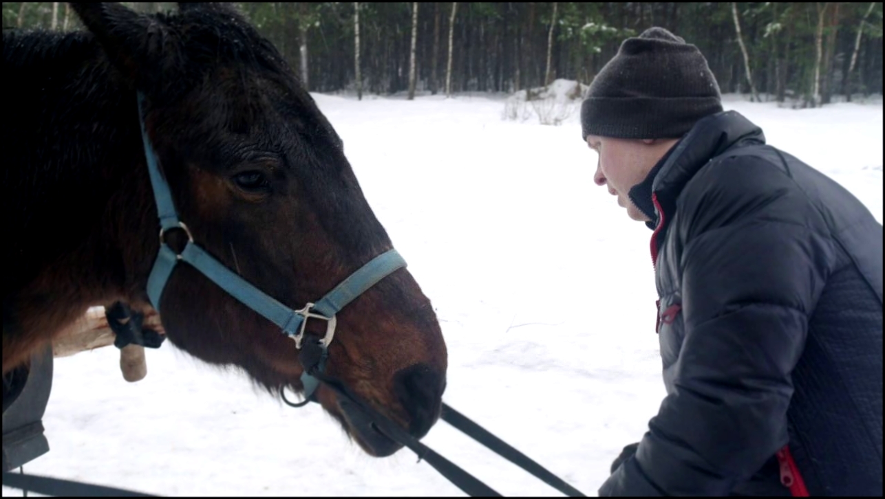 Видеоклип Реальные пацаны: Антоха и конь