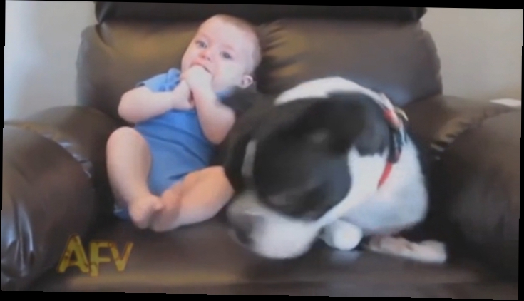 Видеоклип Ребенок пукнул собака чуть не сдохла