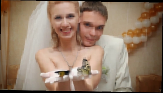 Видеоклип Живые бабочки для подарка на свадьбу, http://babochki.kiev.ua 
