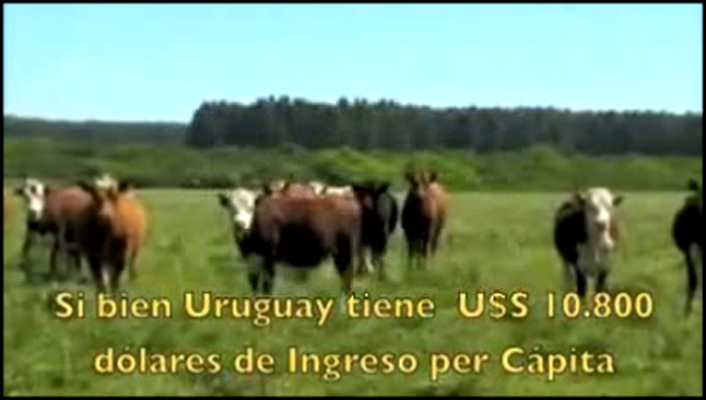 Видеоклип Уругвай. Самое экологически чистое место на планете.