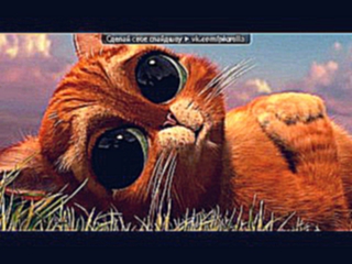 Видеоклип «кошки и коты» под музыку Песня про Серёжу и его кошек - Выучи наизусть и спой коту)) !!!. Picrolla