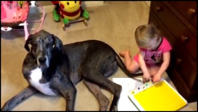 Видеоклип Девочка рисует хвостом собаки