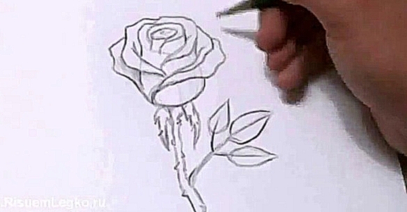 Видеоклип Как быстро и красиво нарисовать розу