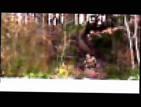 Видеоклип Неизвестное существо на берегу реки!!!  Неизвестные существа