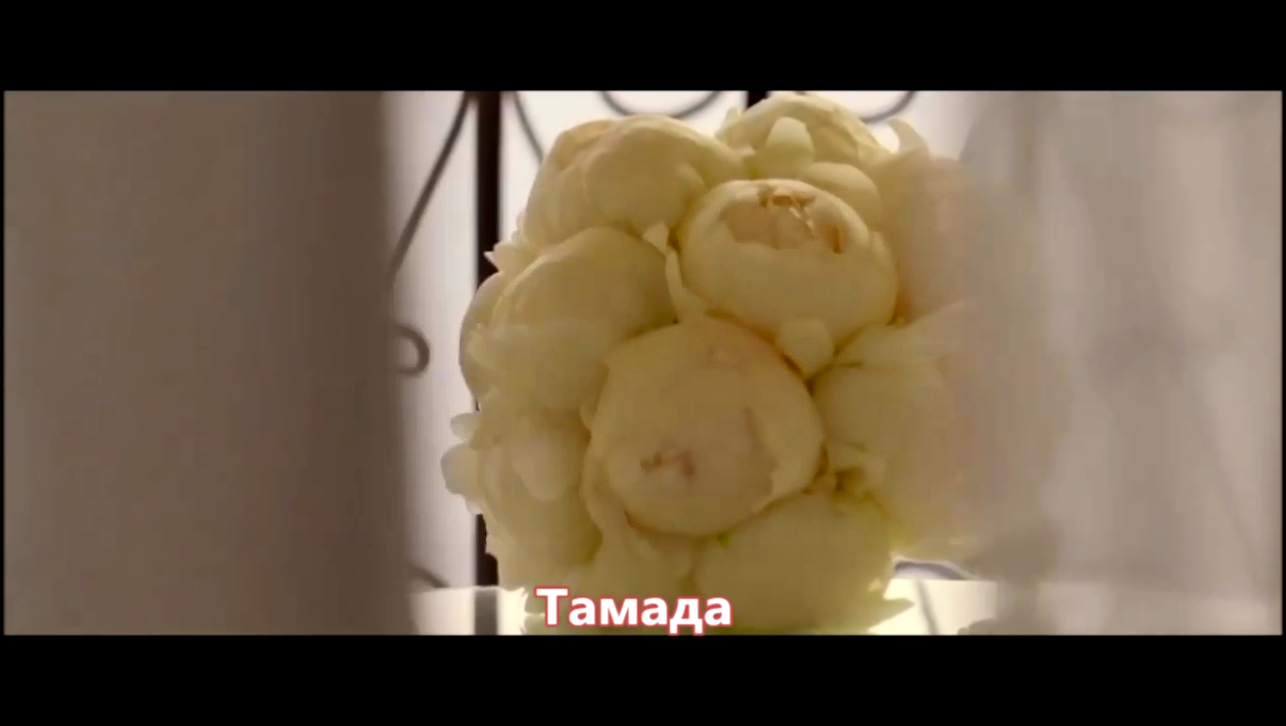 Видеоклип Акмаль Холходжаев - Тамада (NEW 2017)