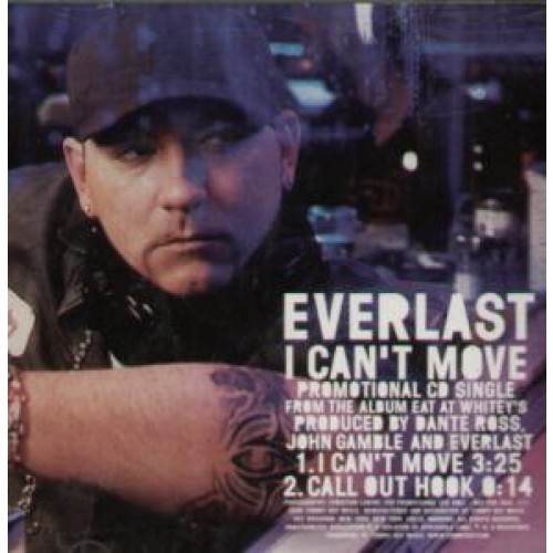 I Can't Move | Everlast