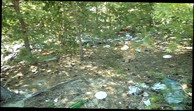 Видеоклип 2011-08-25 БЛК безымянный островок с мусором