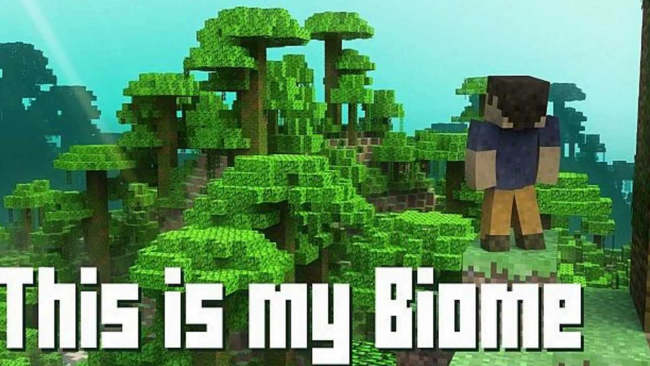 This is my Biome | Неизвестен