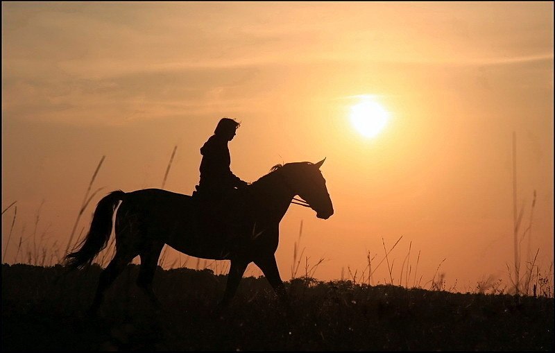 Выйду я на поле с конем Очень люблю эту песню | Пелагея и Дарья Мороз