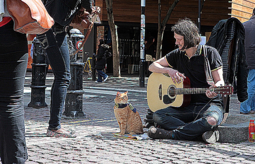 Музыкант Джеймс Боуэн и его кот Боб, 30.04.2012