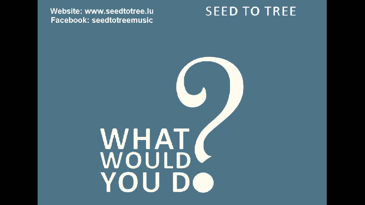 What Would You Do? | Seed to Tree