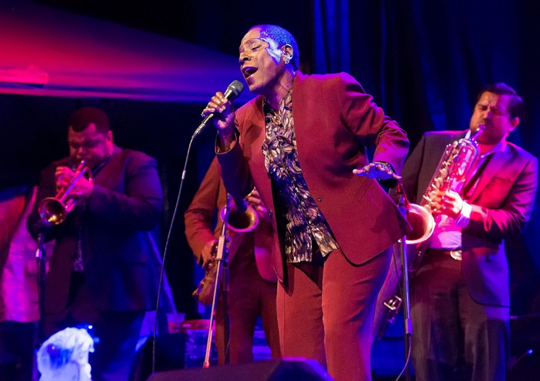 How Long Do I Have To Wait For You Ticklah Remix | Sharon Jones and the Dap-Kings