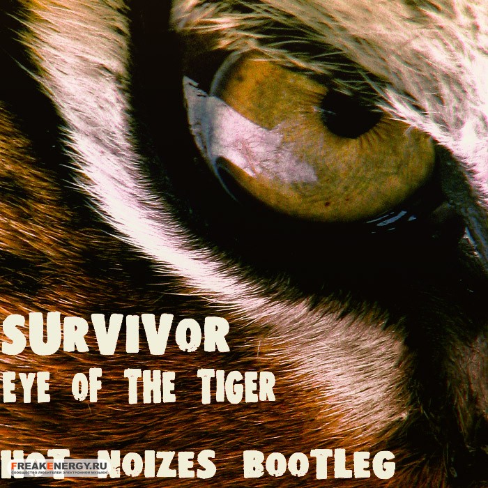 Eye Of The Tiger OST Supernatural | Survivor