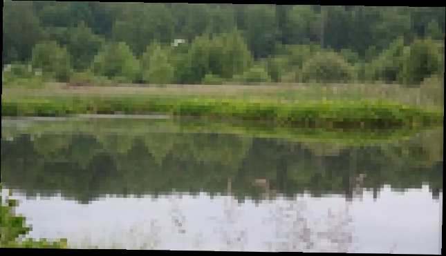 Видеоклип Рыбалка на озерах. Утро рассвет.Отдых. Природа . Чайки. Лягушки. 