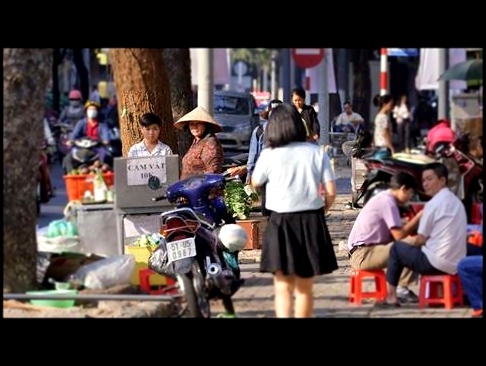 Vietnam: The Challenges of Investing in Social Good