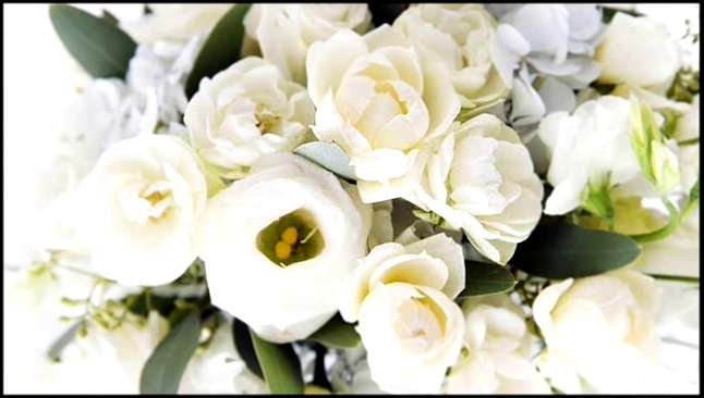 Видеоклип Поздравление с 8 марта! Эти белые цветы...