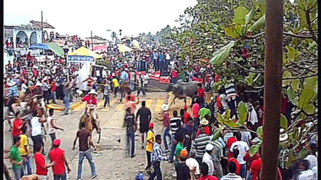 Видеоклип Bulls abuse in Tlacotalpan Mexico during Fiesta de la Virgen de la Candelaria