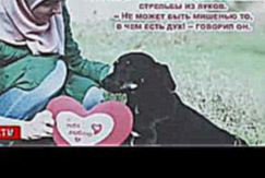 В приюте для животных "Надежда на жизнь" в Грозном прошла благотворительная акция