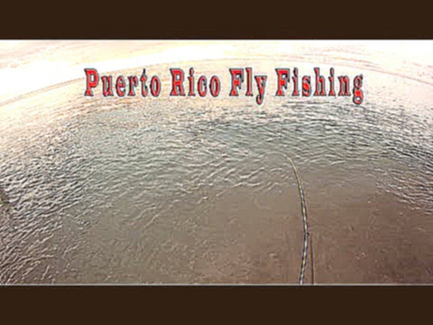 Видеоклип Fly Fishing for Small Barracuda in Puerto Rico/ Catch and Release