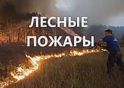 Видеоклип Лесные пожары