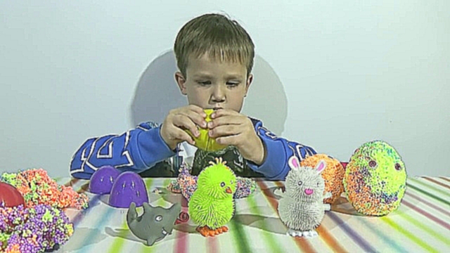 Видеоклип Животные заводные сюрприз из шарикового пластилина игрушки animals toys in magic