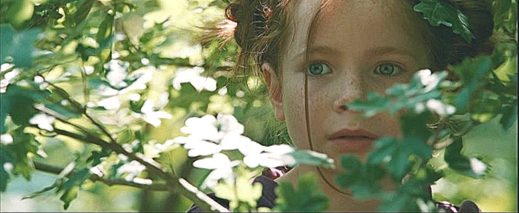 Видеоклип Девочка и лисёнок / Le Renard et L'enfant (2007)