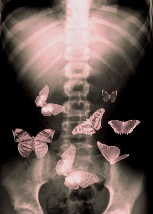 Бабочки в моём животе | Бабочки в моем животе