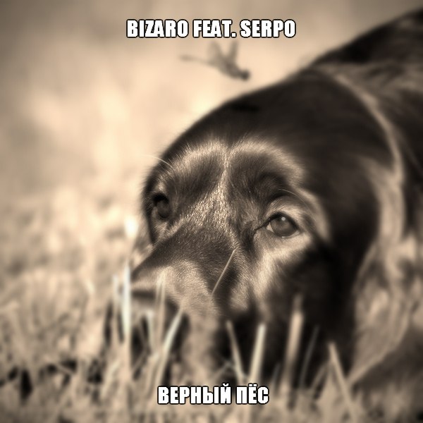 Bizaro feat. SERPO