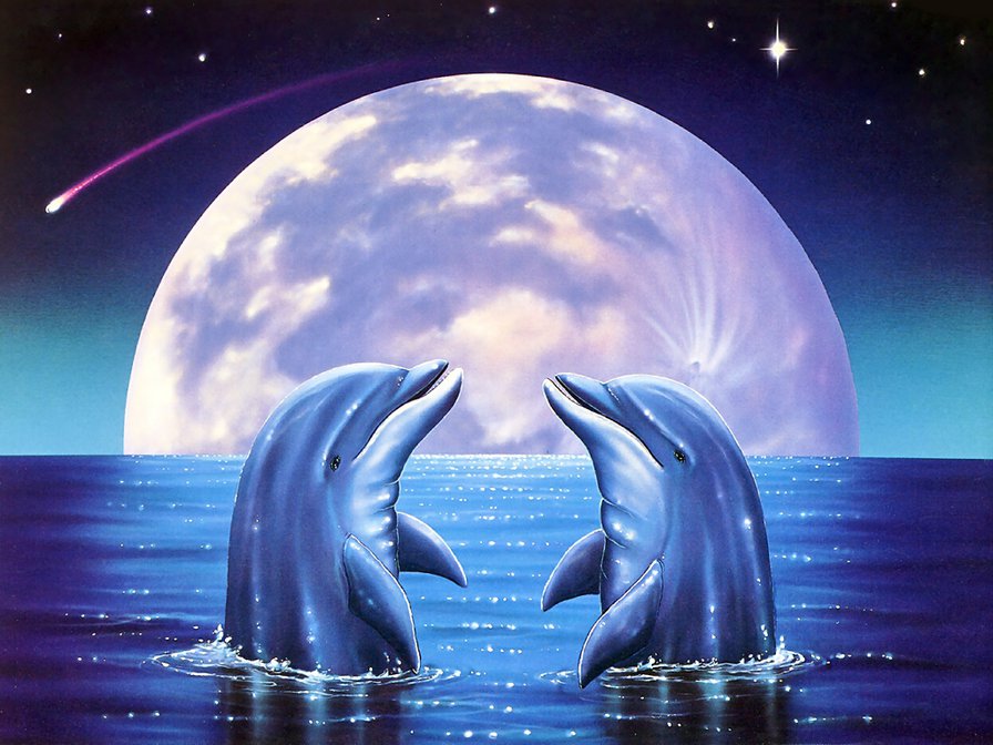 Дельфин - Любовь