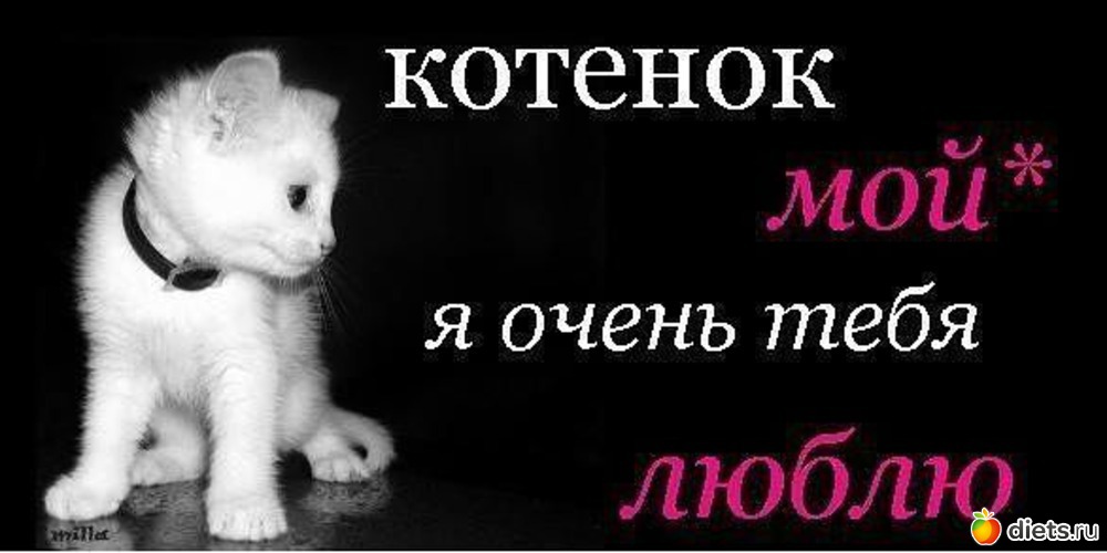 для тебя мой любимый котеночек