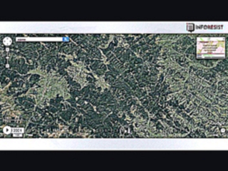 Масштабы вырубки поражают- Спутниковые снимки показали, как быстро пропадает лес Карпат