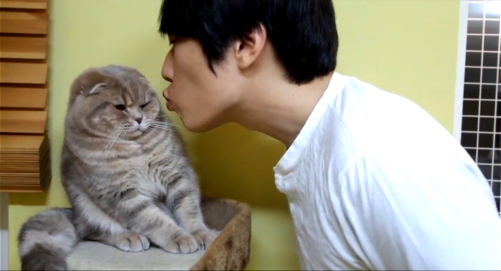 Видеоклип  Коты не любят поцелуи 
