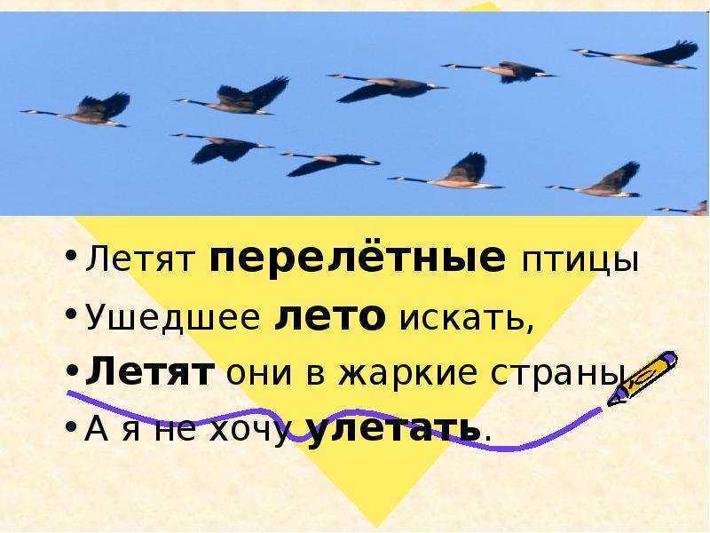 [muzmo.ru] Летят перелетные птицы