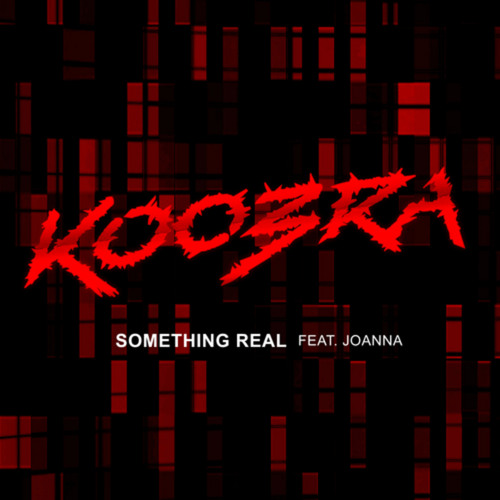 Didnt know what it is to not let go | Something Real Lyrics by Koobra feat. Joanna