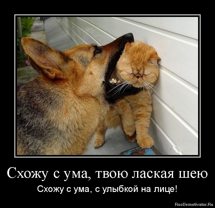я буду целовать твою шею | vbots.ru